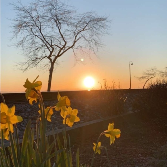 Meet your Posher, H - Picture 1 of 1